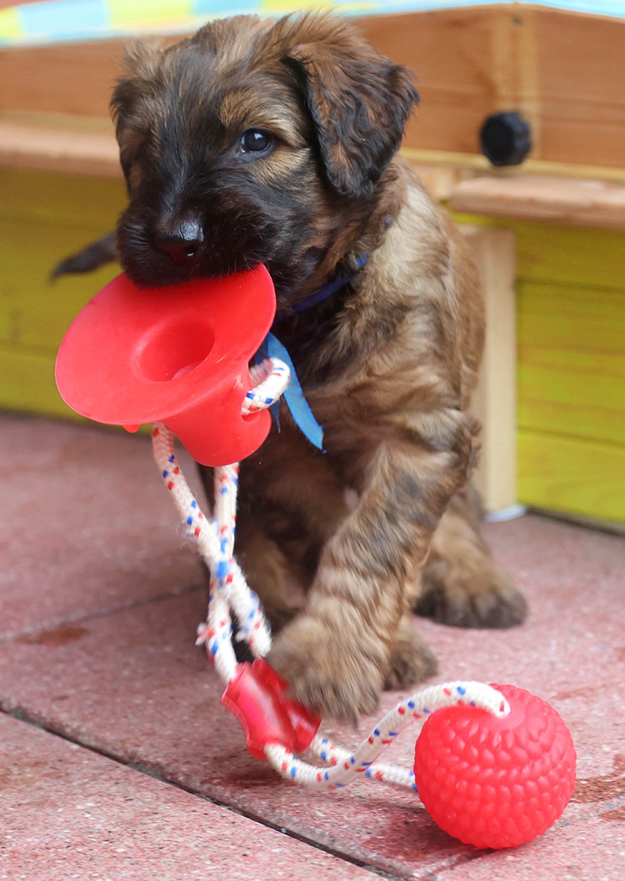 Emoji aus Ennigerloh